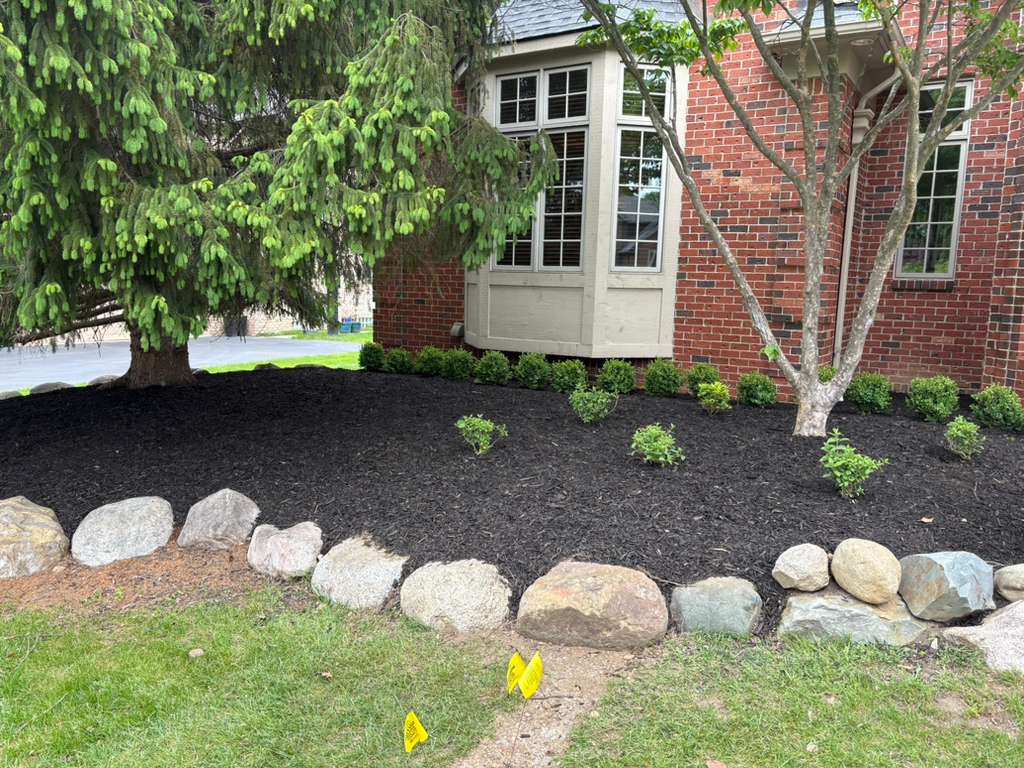 Curved garden bed with fresh black mulch, shrubs and natural boulder rock border by Alfie's Lawn Care Michigan